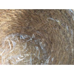 Juego de 3 Macetas de Algas Marinas con PVC para Cactus | MiSi