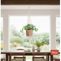 Macramé Blanco para Plantas | Hecho a Mano | MISI