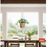 Macramé Blanco para Plantas | Hecho a Mano | MISI
