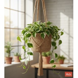 Macramé de Yute Natural | Hecho a Mano| MISI